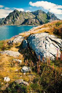 Telinetbloggen Lofoten